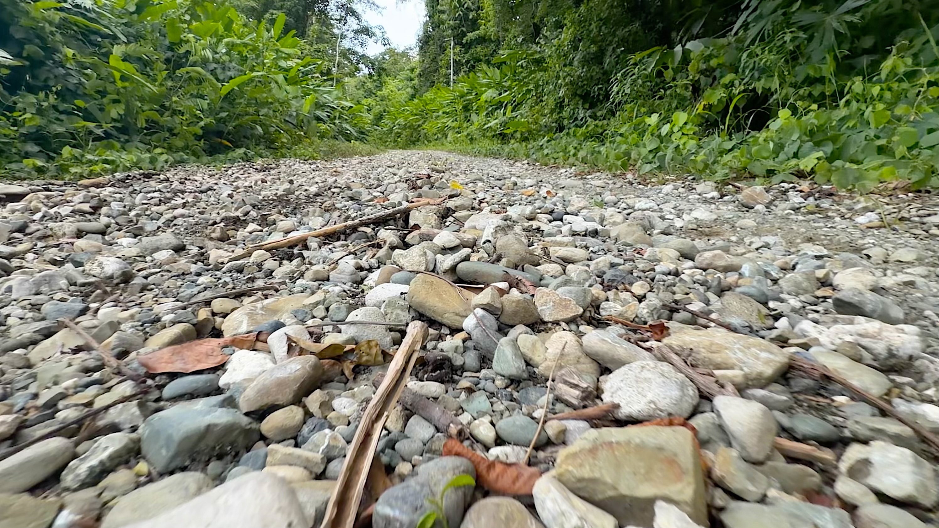 Camino de lastre de piedra de río entre la selva de Costa Rica